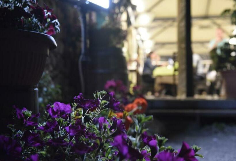 Пансион Il Feudo