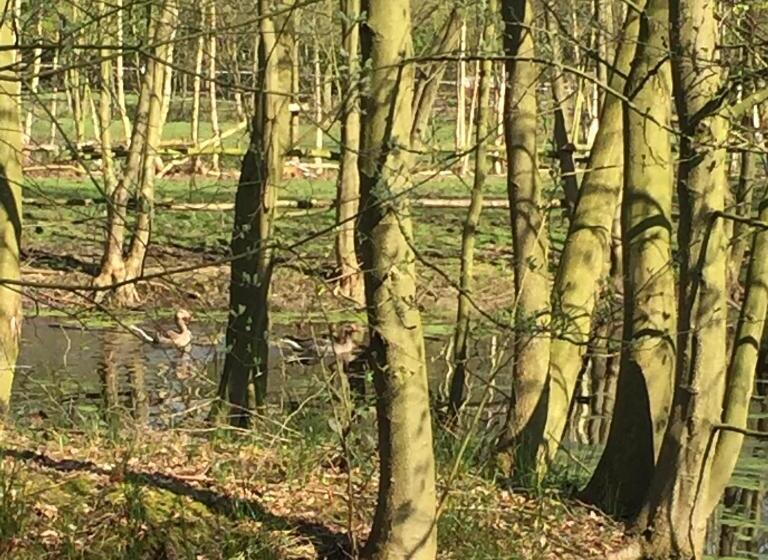 B&b Landgoed Bergerven