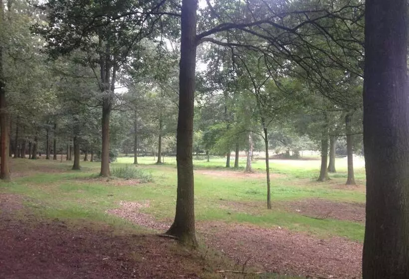 B&b Landgoed Bergerven