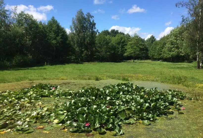 B&b Landgoed Bergerven