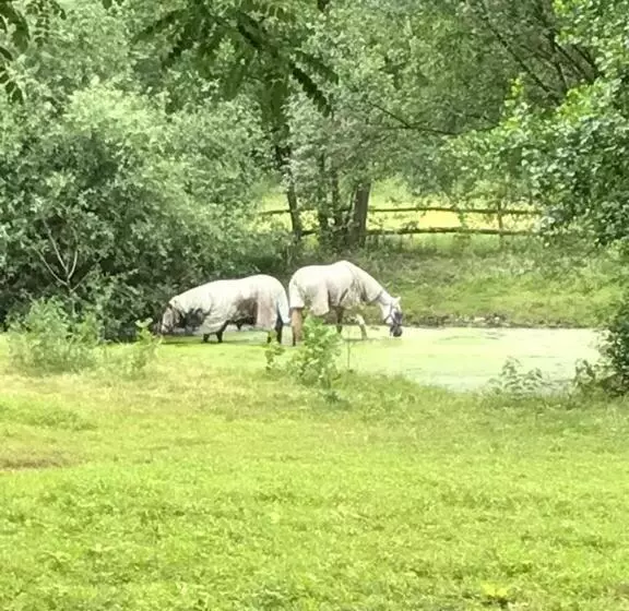 B&b Landgoed Bergerven