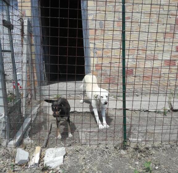 B&b Pozzo Innamorato