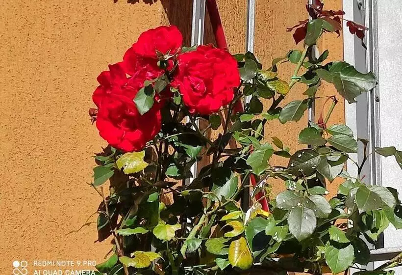 Aamiaismajoitus (B&B) Beb Da Gaia E Giulio