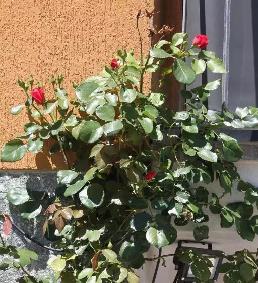Aamiaismajoitus (B&B) Beb Da Gaia E Giulio