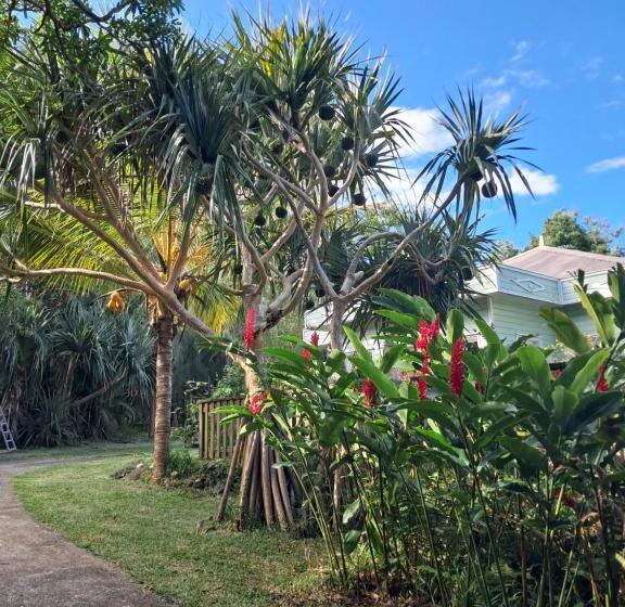 تختخواب و صبحانه Le Four à Pain