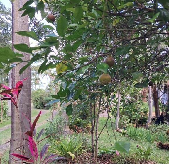 تختخواب و صبحانه Le Four à Pain