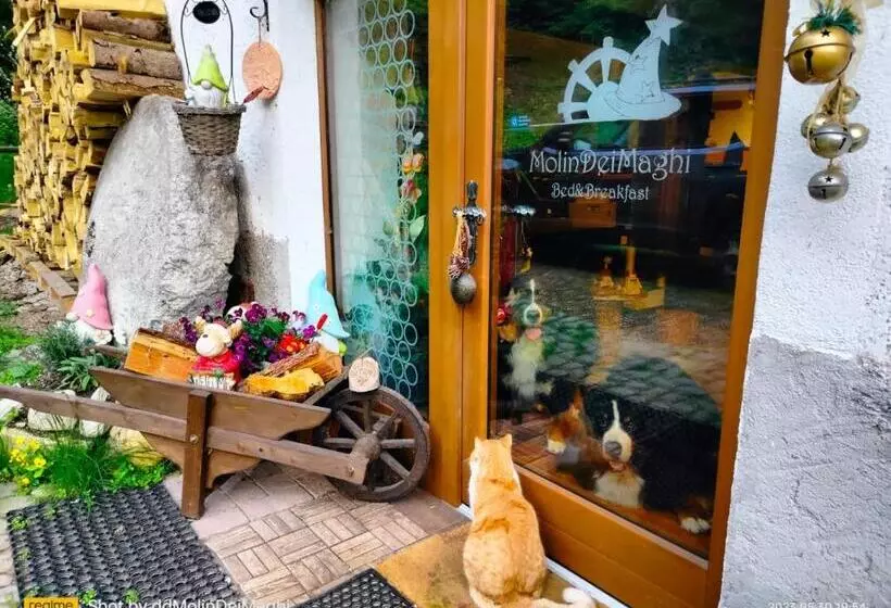 Aamiaismajoitus (B&B) Molindeimaghi