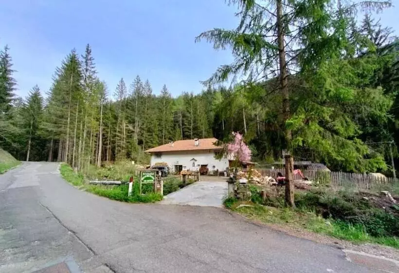 Aamiaismajoitus (B&B) Molindeimaghi