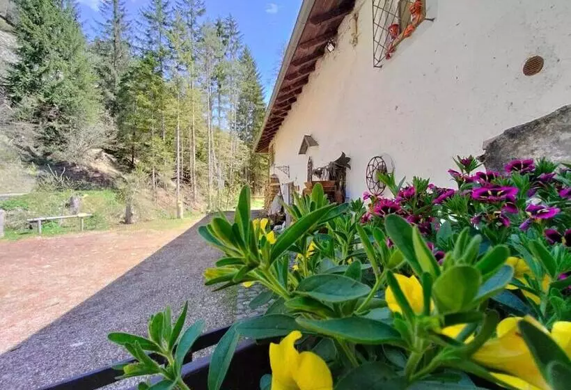 Aamiaismajoitus (B&B) Molindeimaghi