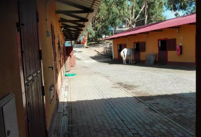 ホテル Herdade Da Hera