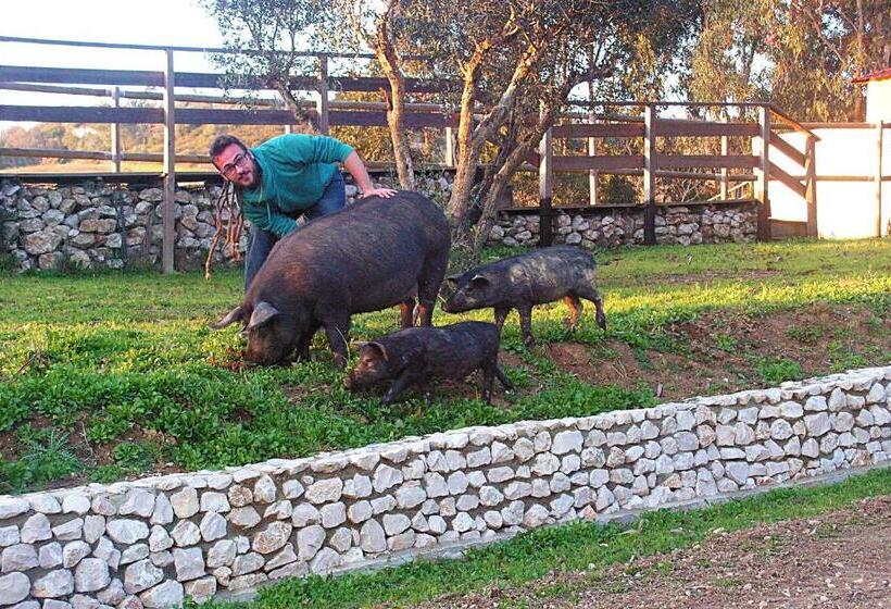 בית מלון כפרי Herdade Da Hera
