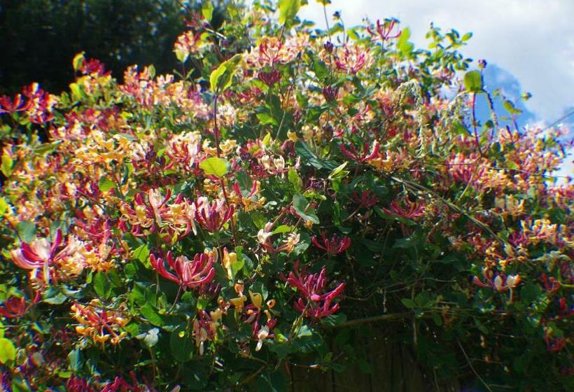 Lynwood House Bed And Breakfast