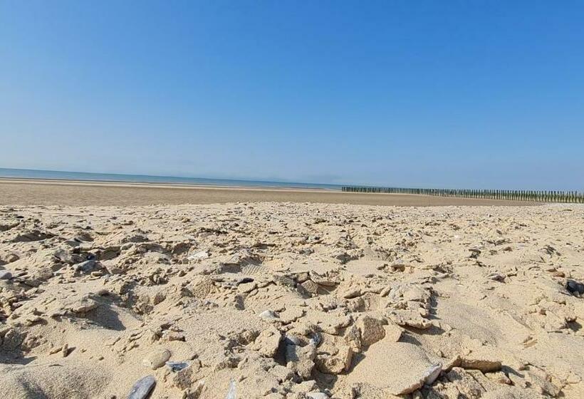 ペンション ô De Mer   à 20m De La Plage