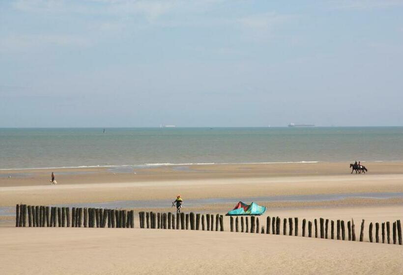 ペンション ô De Mer   à 20m De La Plage