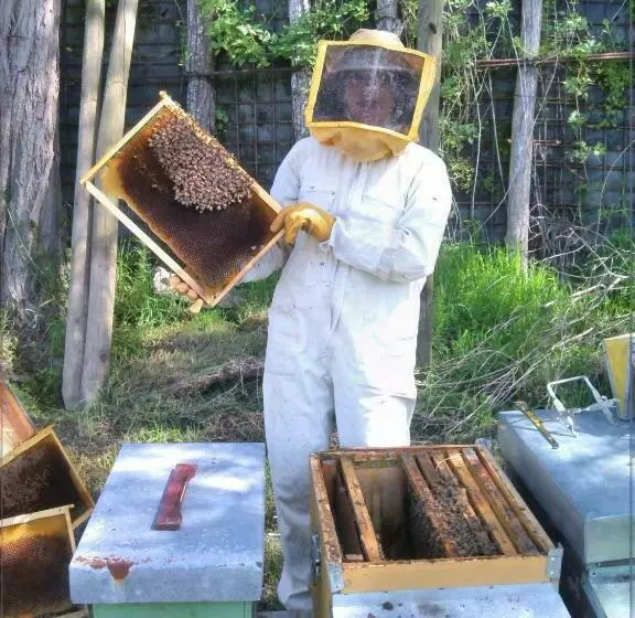 Majatalo Poggio Delle Capre