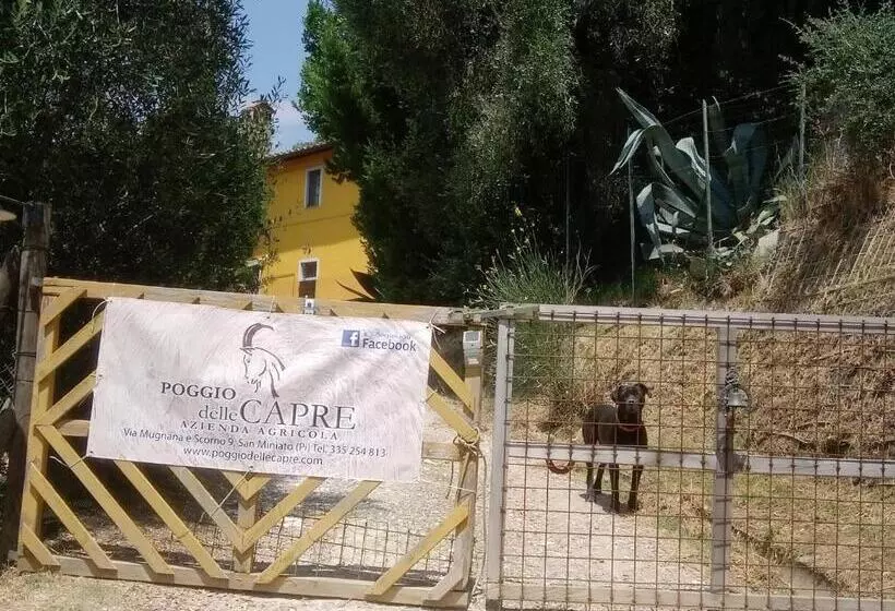 Majatalo Poggio Delle Capre
