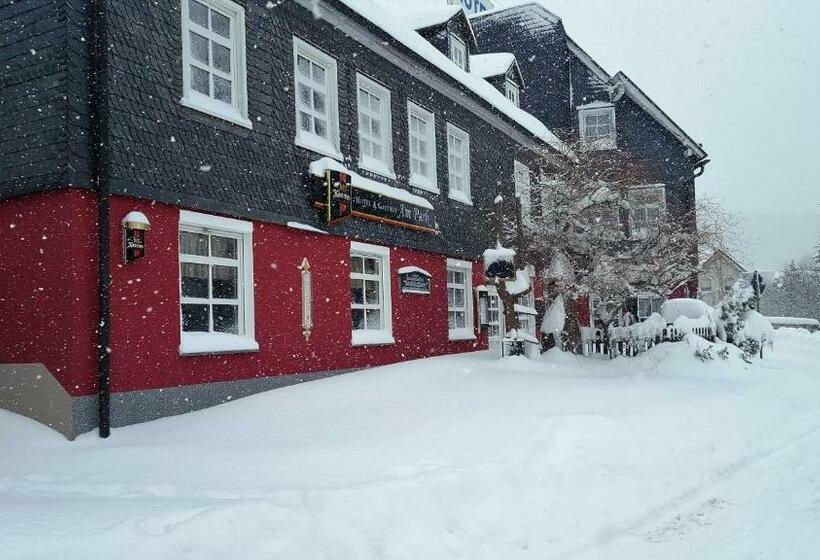 Pension & Gasthof Am Park Ug