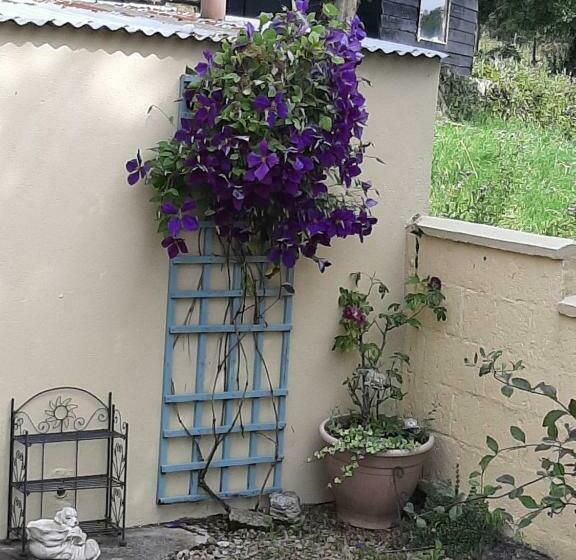 住宿加早餐 Channel View