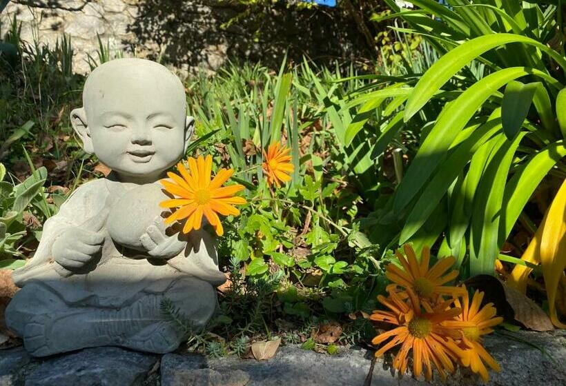 مبيت وإفطار Mas Giro