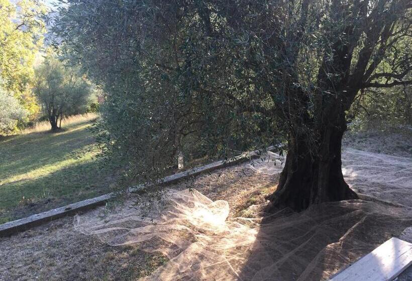 مبيت وإفطار Mas Giro