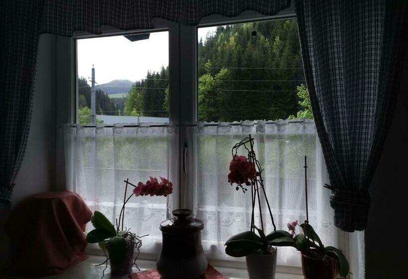 住宿加早餐  Pension Nachtviole