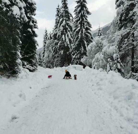 住宿加早餐  Pension Nachtviole