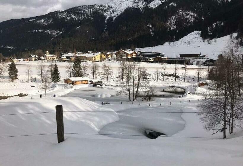 住宿加早餐  Pension Nachtviole