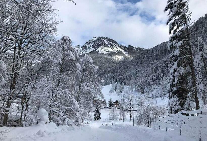 住宿加早餐  Pension Nachtviole