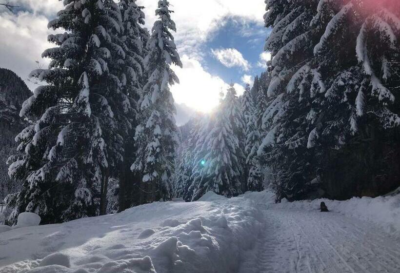 住宿加早餐  Pension Nachtviole