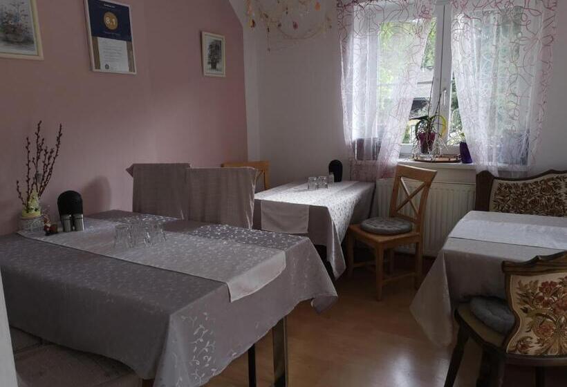 住宿加早餐  Pension Nachtviole