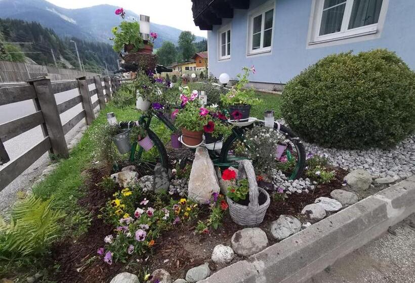 住宿加早餐  Pension Nachtviole