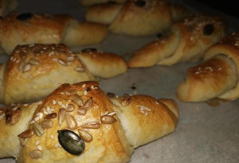 住宿加早餐  Pension Nachtviole