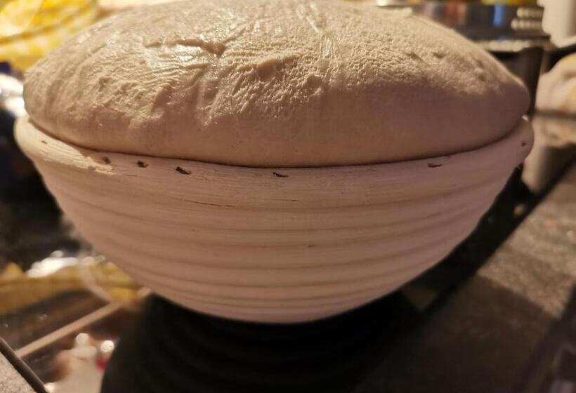 住宿加早餐  Pension Nachtviole