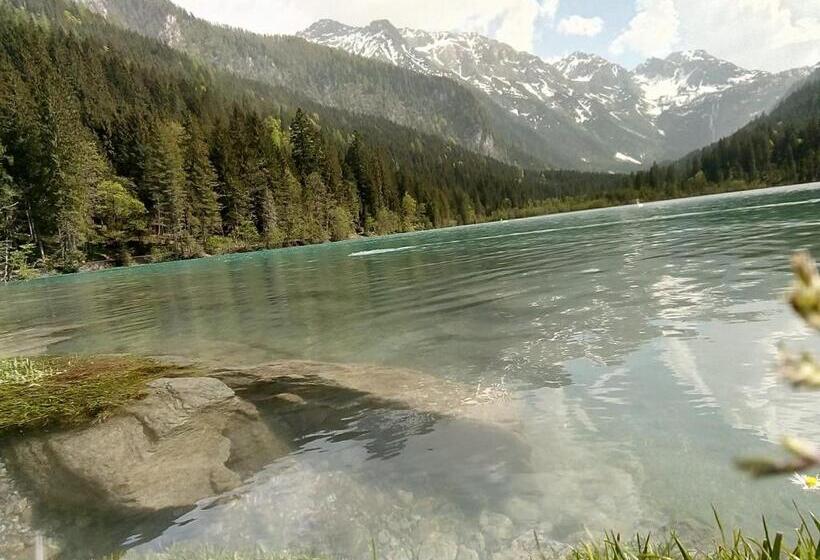 住宿加早餐  Pension Nachtviole