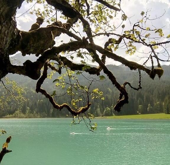 住宿加早餐  Pension Nachtviole