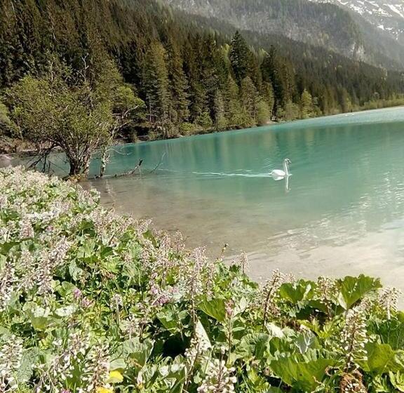 住宿加早餐  Pension Nachtviole