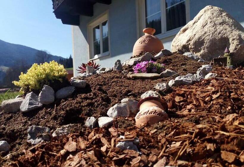 住宿加早餐  Pension Nachtviole