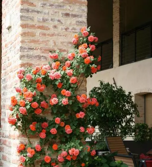 Le Tre Arti B&b
