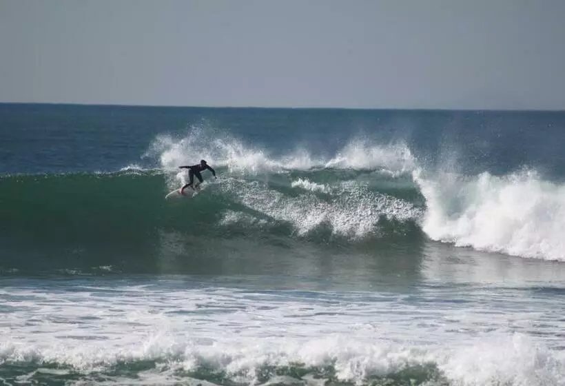 Natural Mystic Hostel