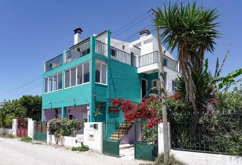 Natural Mystic Hostel