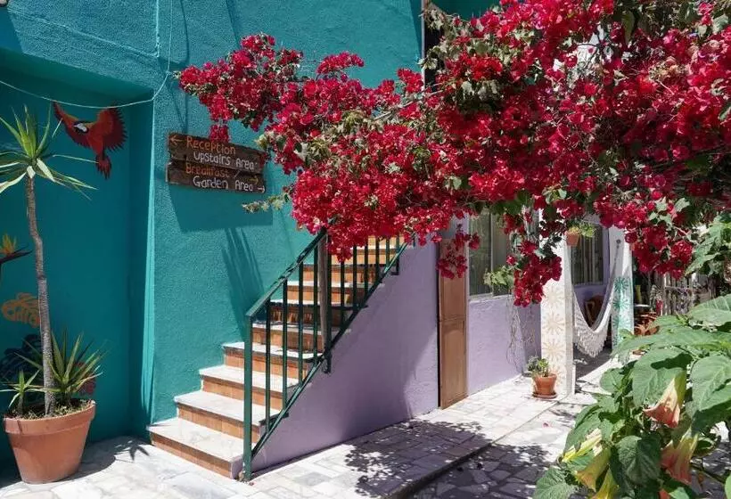 Natural Mystic Hostel