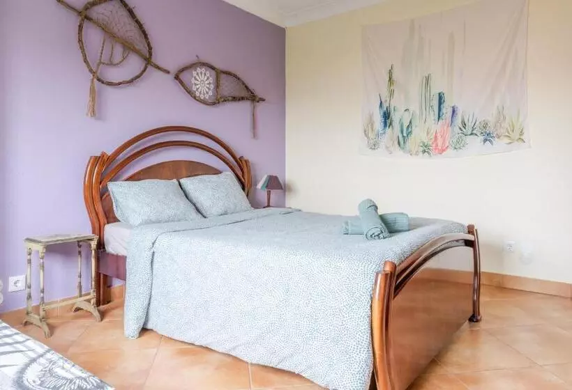 Natural Mystic Hostel