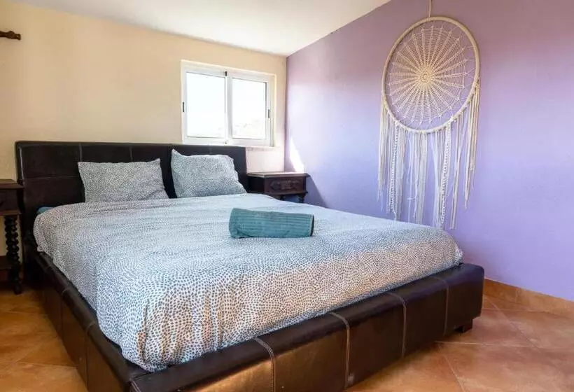 Natural Mystic Hostel