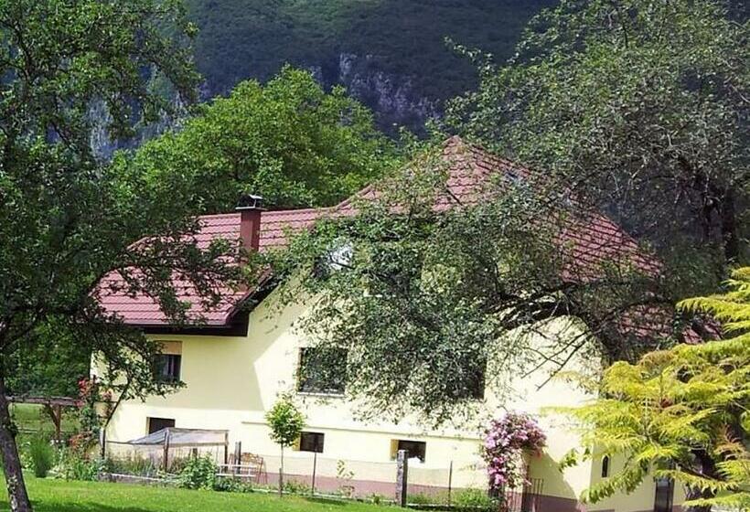 پانسیون Apartments And Rooms Oasis Of Peace