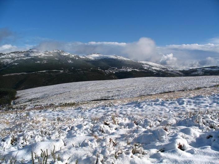 펜션 Casa Ferreira