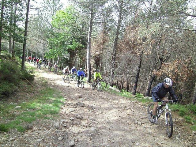 펜션 Casa Ferreira