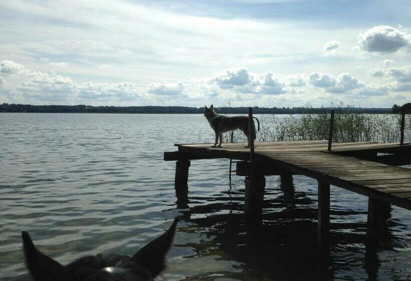 פנסיון Landhof Zur Meierei