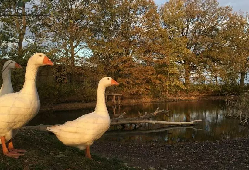 Majatalo Landhof Zur Meierei