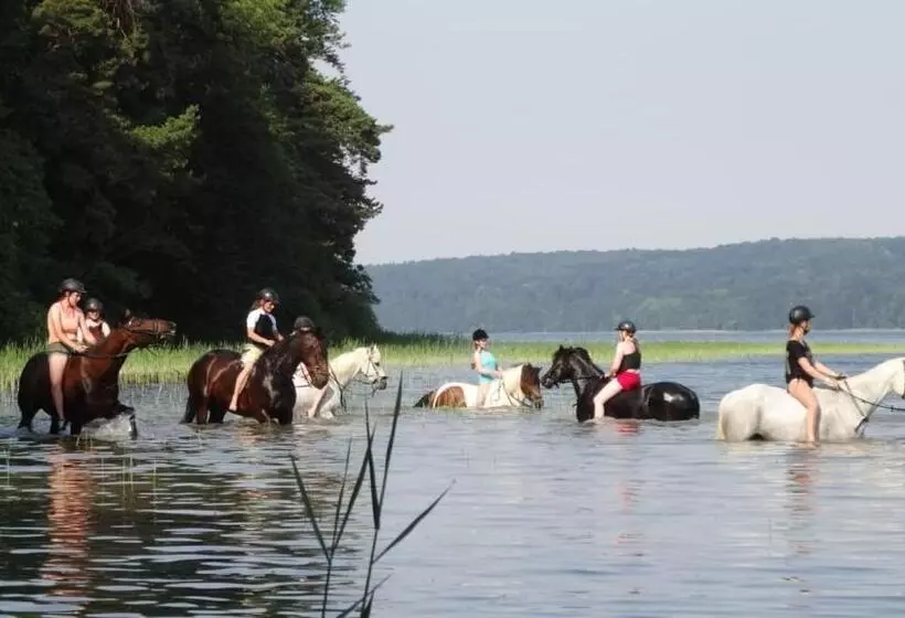 Majatalo Landhof Zur Meierei