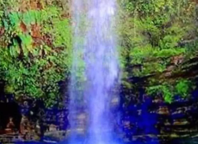 پانسیون Pousada Canto Dos Passaros
